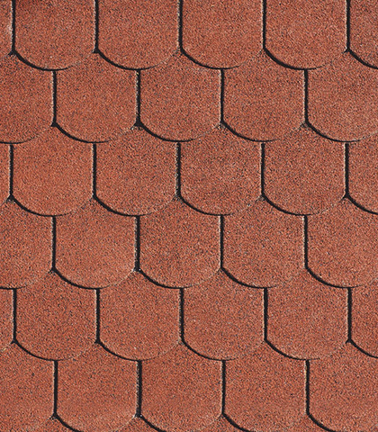  BiberShield